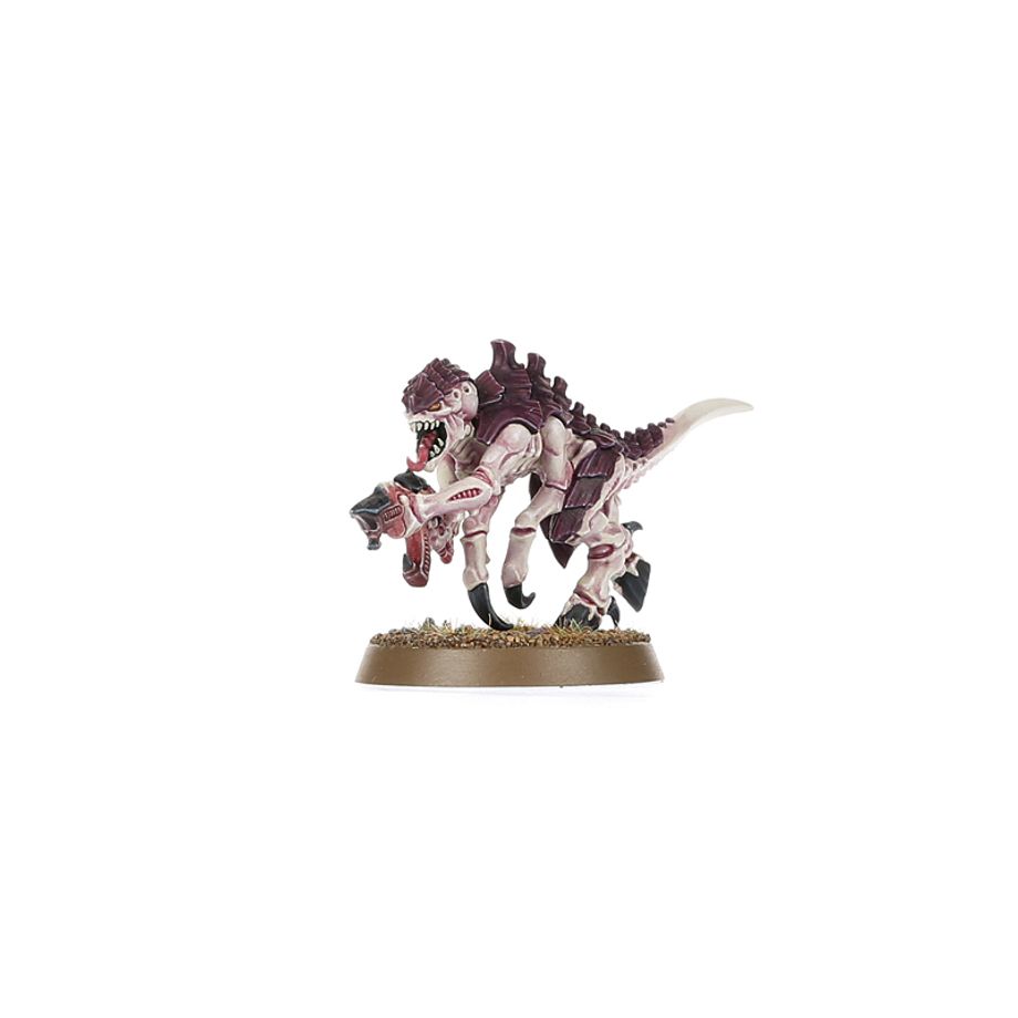 WH40K INTRODUCTORY SET