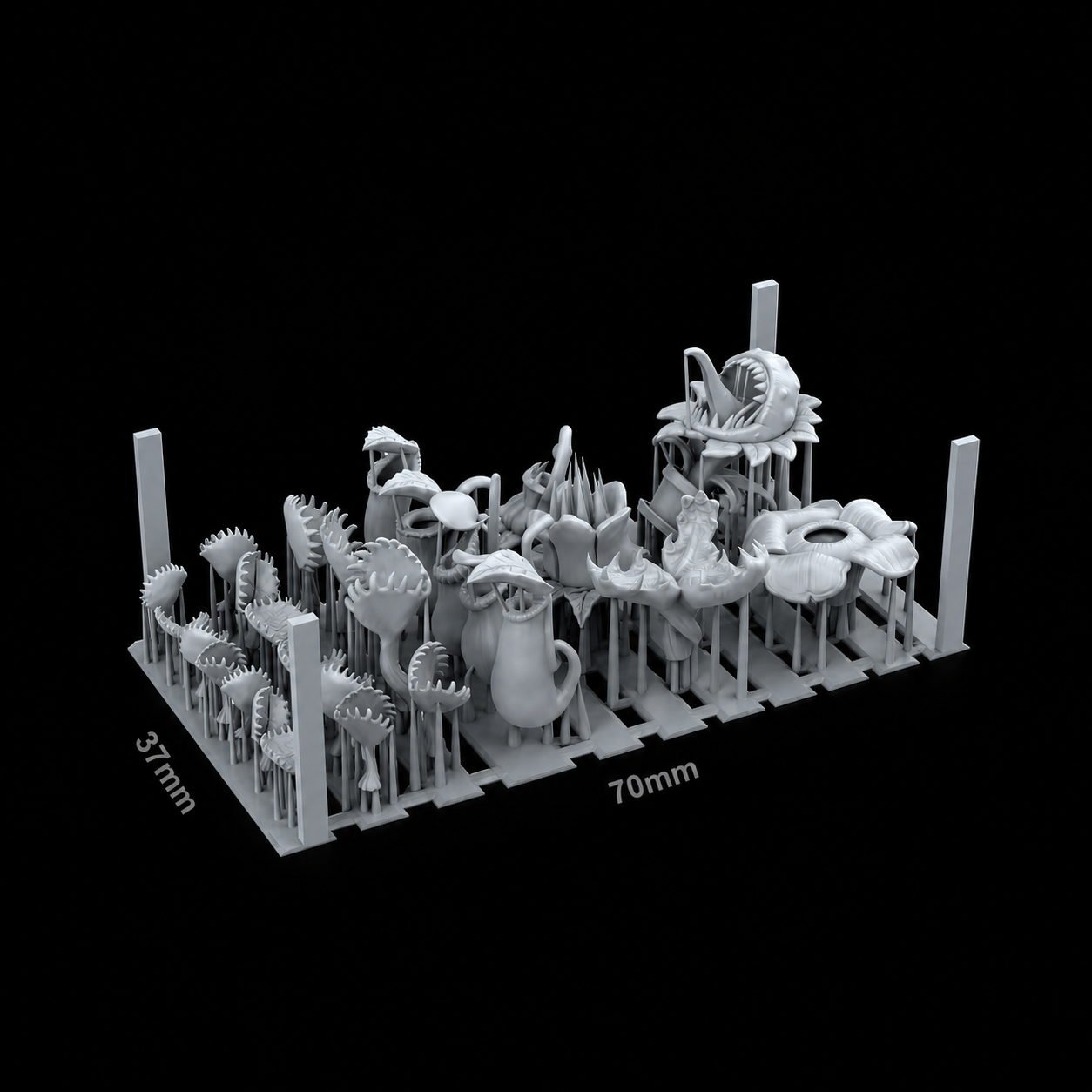 AK BASING: BITS - CARNIVOROUS PLANTS