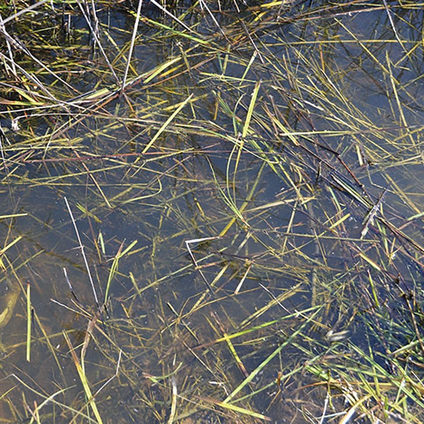 AK: STILL WATER -250ml