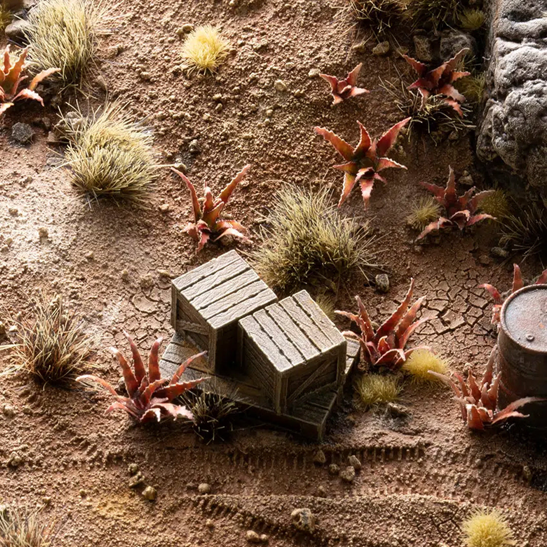 Red Aloe - Laser Plants