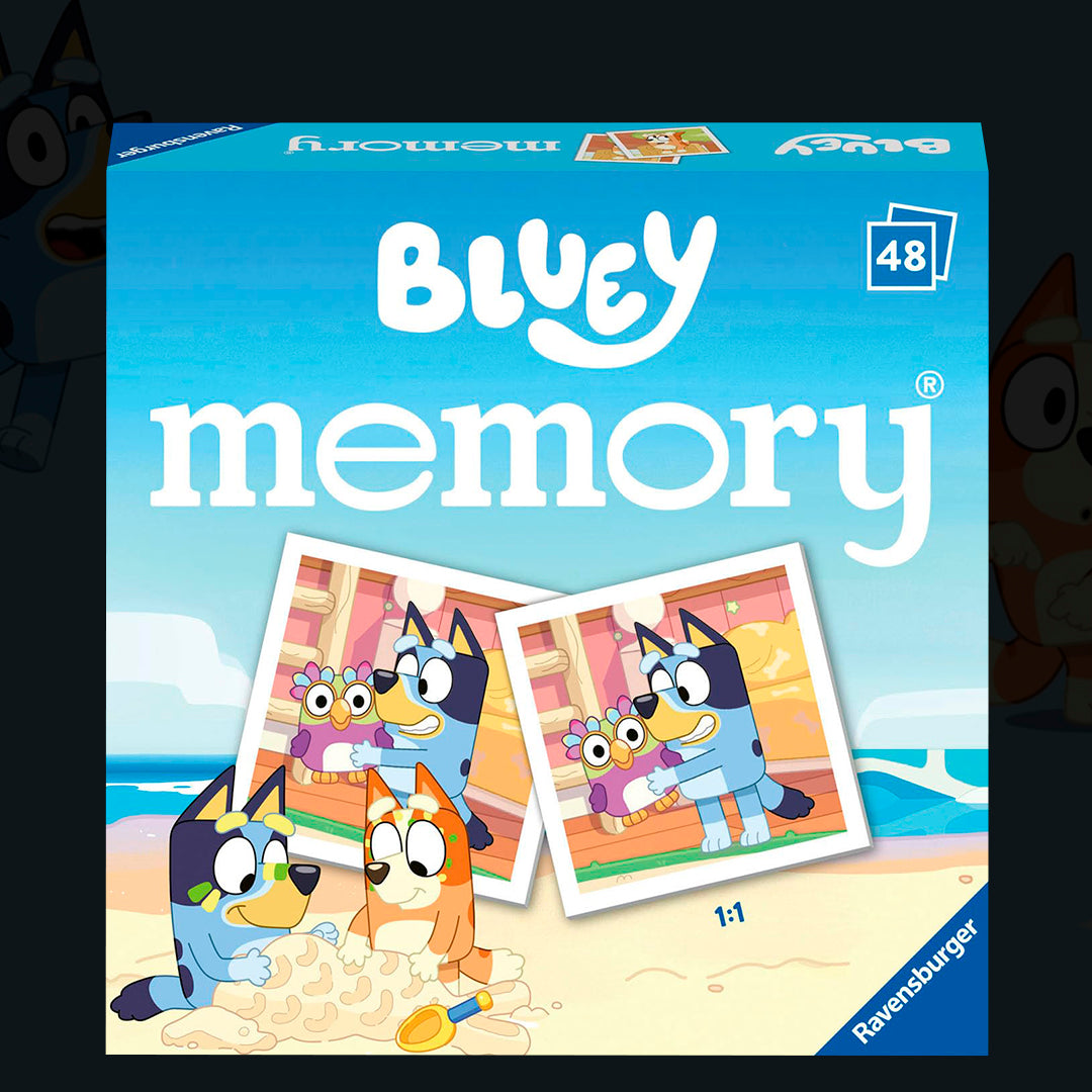 MEMORY BLUEY