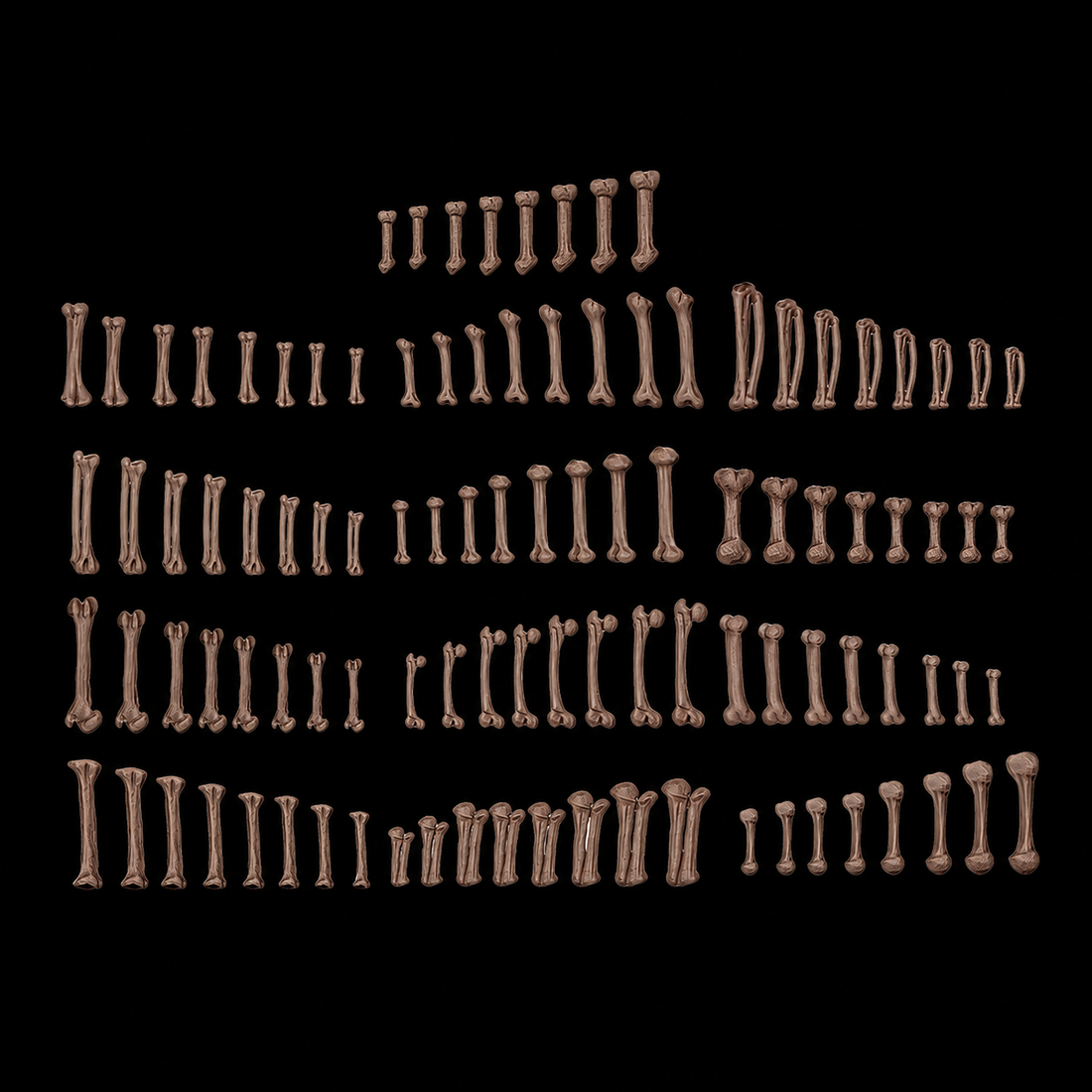 AK BASING: BITS - HUMAN BONES