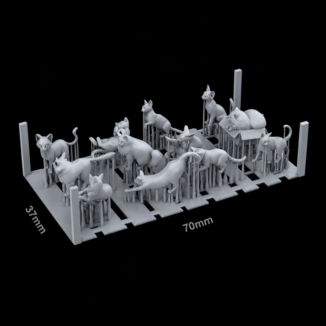 AK BASING: BITS - CATS
