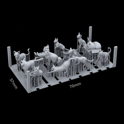 AK BASING: BITS - CATS