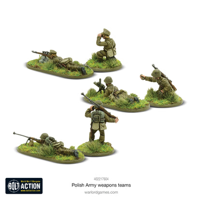 POLISH ARMY: WEAPONS TEAMS