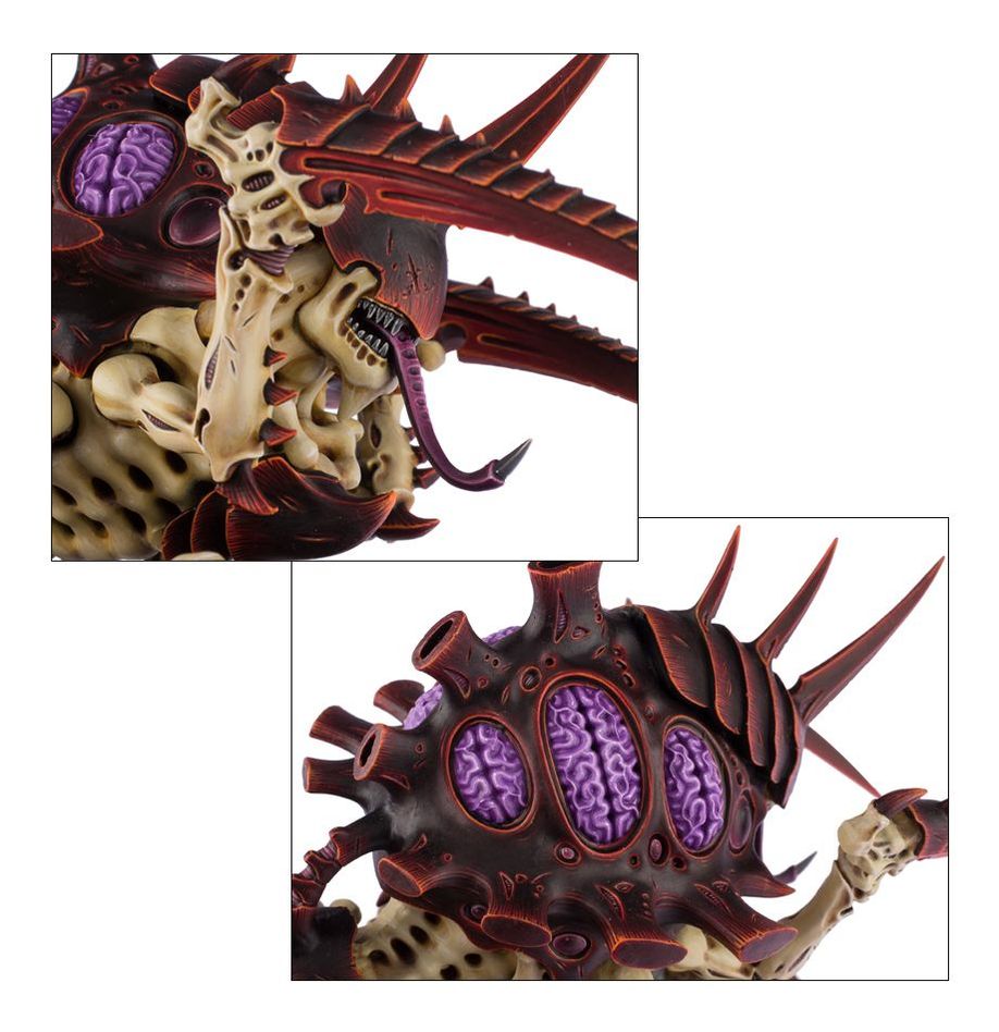 TYRANIDS: MALECEPTOR