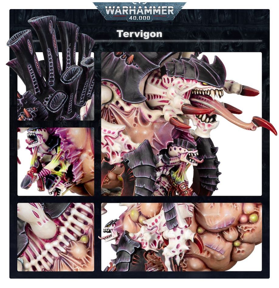 TYRANIDS: TIRANOFEX / TERVIGÓN TIRÁNIDO