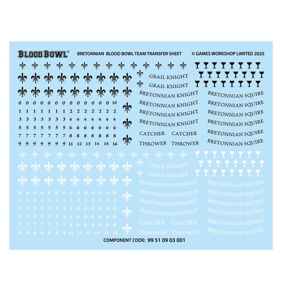 PREPEDIDO - BLOOD BOWL: BRETONNIAN - THE BRIONNE BARONS
