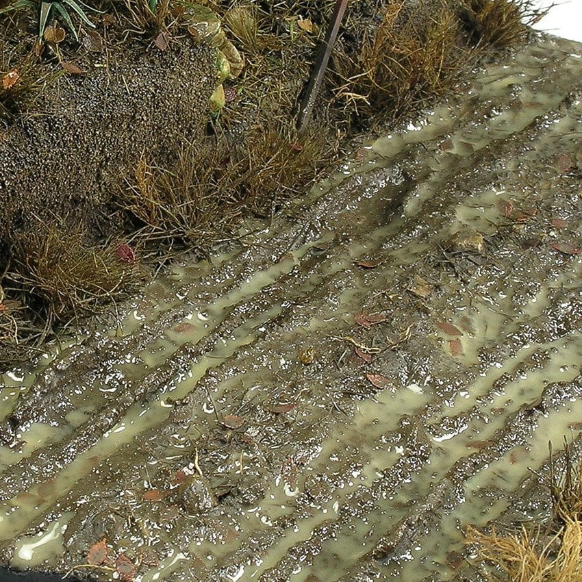 TERRAINS: WET GROUND - 250ml