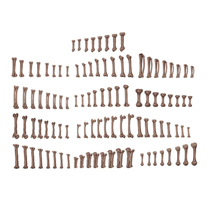 AK BASING: BITS - HUMAN BONES