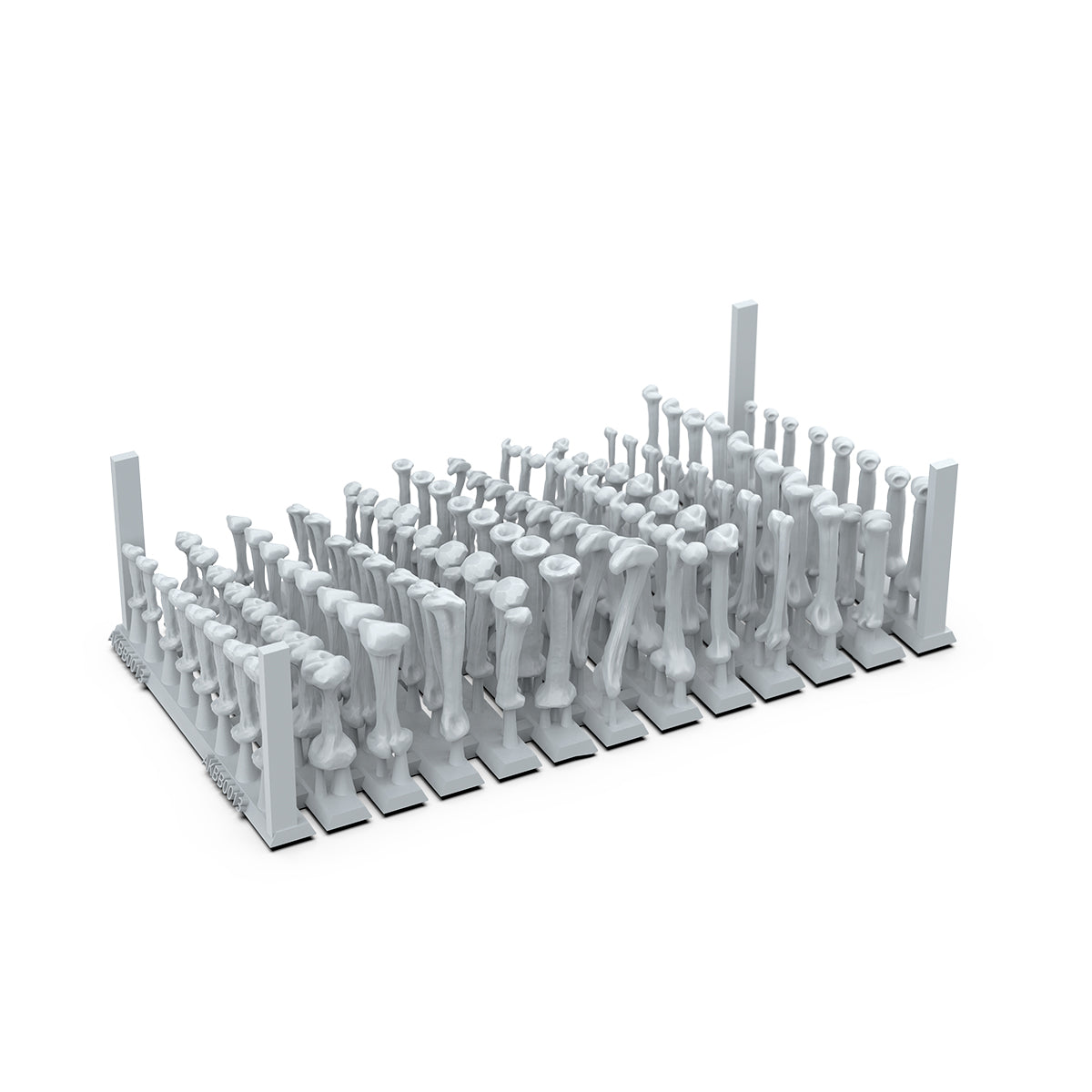 AK BASING: BITS - HUMAN BONES