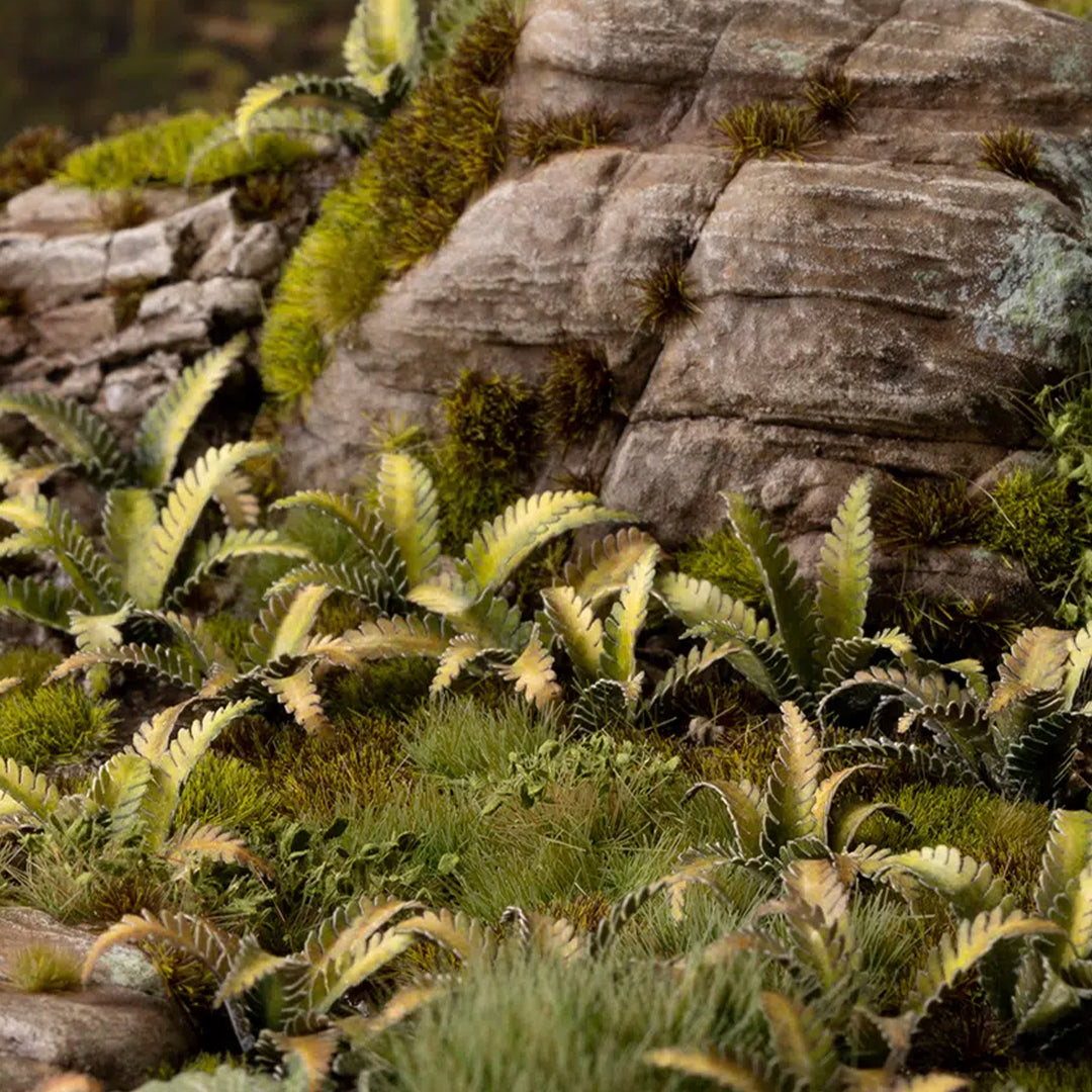 Deer Fern - Laser Plants