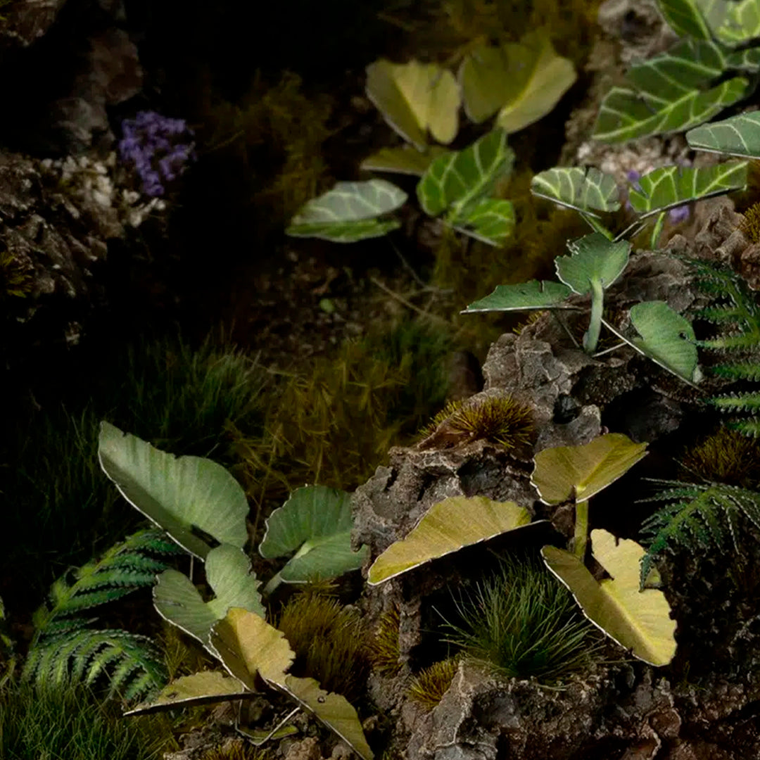 Elephant Ear - Laser Plants