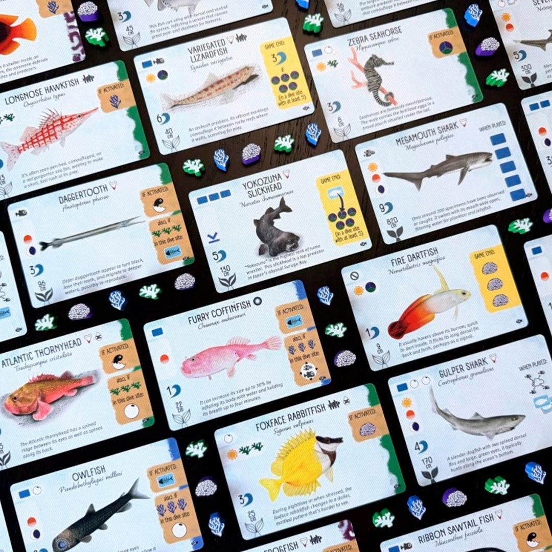 Finspan: Tiburones y Arrecifes