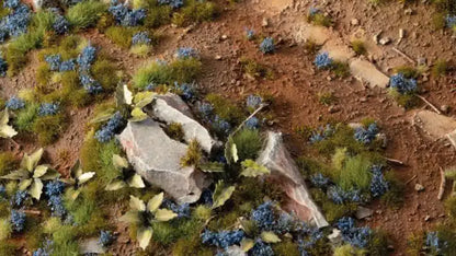 Cornflower 2mm - Tiny Flowers