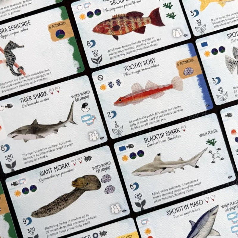 Finspan: Tiburones y Arrecifes