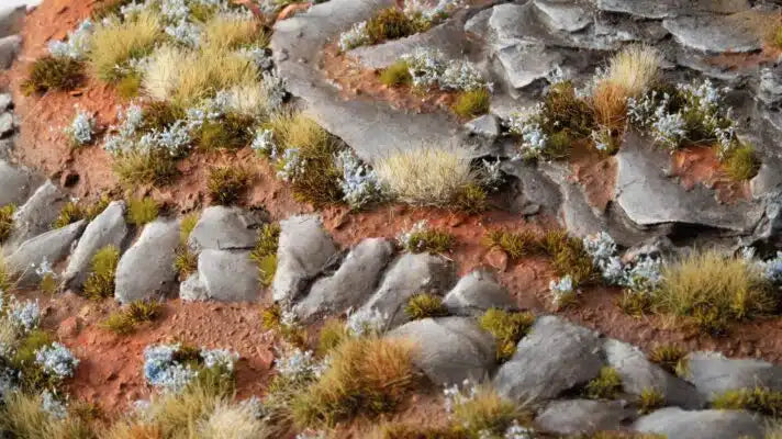 Forget-me-not 2mm - Tiny Flowers