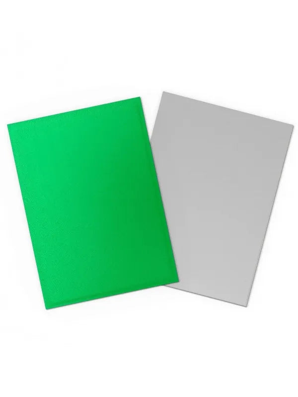 DRAGON SHIELD - 100 SLEEVES - APPLE GREEN &amp; SILVER
