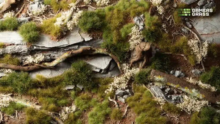 GREEN: Grass - Starter Box