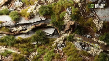 GREEN: Grass - Starter Box