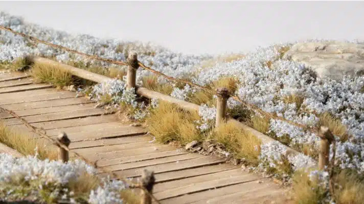 Blue Flowers- Wild Tufts