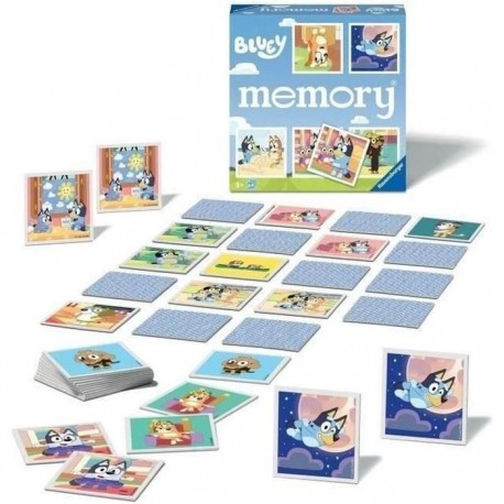 MEMORY BLUEY