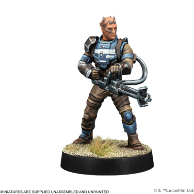 SW LEGION: CUSTOMIZABALE REBEL OFFICER & AGENT